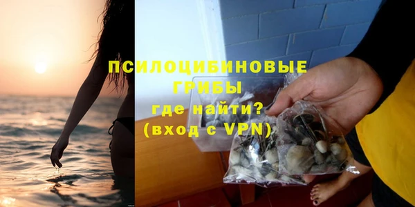 эйфоретик Нея