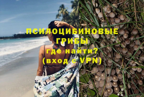 гашиш Нефтекумск