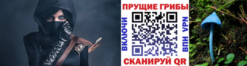 Галлюциногенные грибы Cubensis  Полярный 